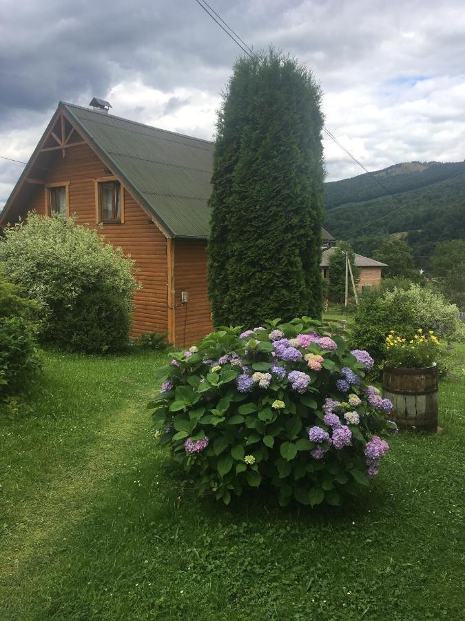 Guest House Zatishniy Dvir 亚列姆切 外观 照片